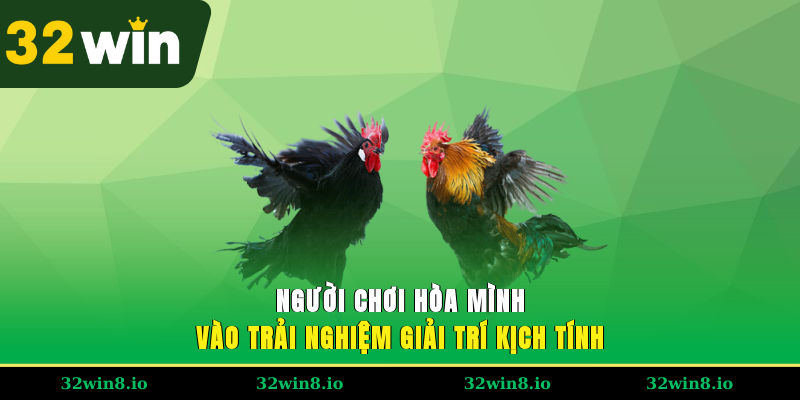 Đá Gà Tre 32WIN – Trải Nghiệm Đỉnh Cao Cho Người Chơi 4 Người chơi hòa mình vào trải nghiệm giải trí kịch tính